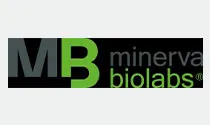 Minerva