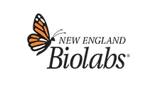 New England Biolabs